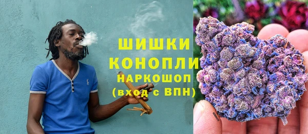 гидропоника Медногорск