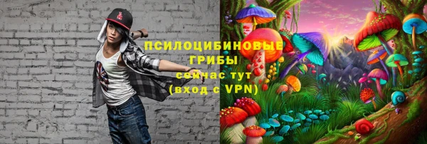 стафф Медвежьегорск