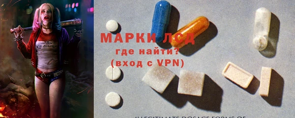 стафф Медвежьегорск