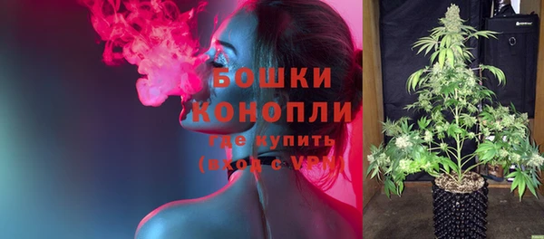 гидропоника Медногорск