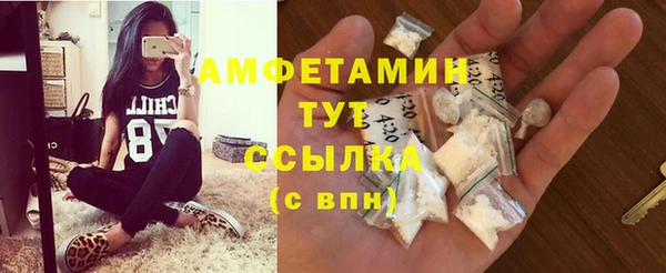 гидропоника Медногорск