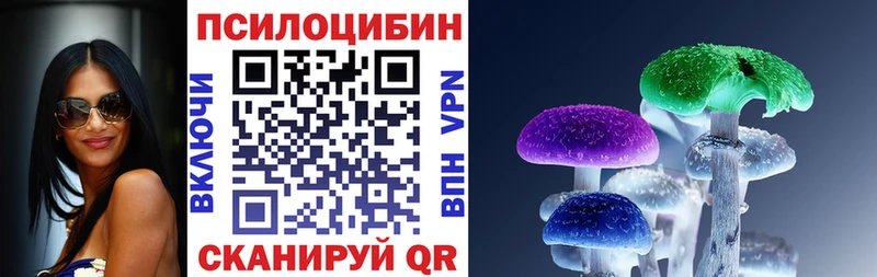 Купить  Отрадный  Галлюциногенные грибы Psilocybe 