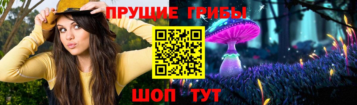 Галлюциногенные грибы MAGIC MUSHROOMS  Вход с VPN  Отрадный 