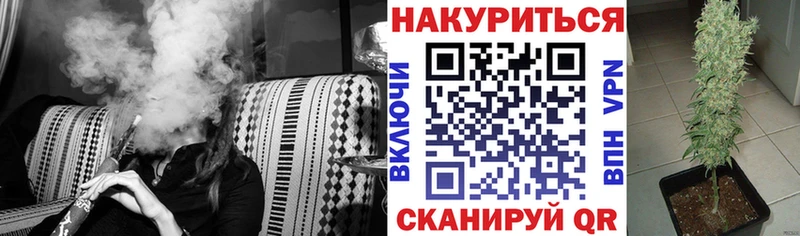 Купить где  Отрадный  Конопля план 